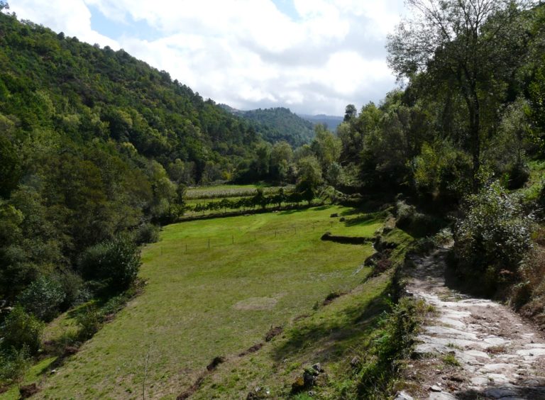 onze favoriet: wandeling naar de rivier