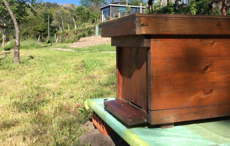 Beekeeping in Portugal